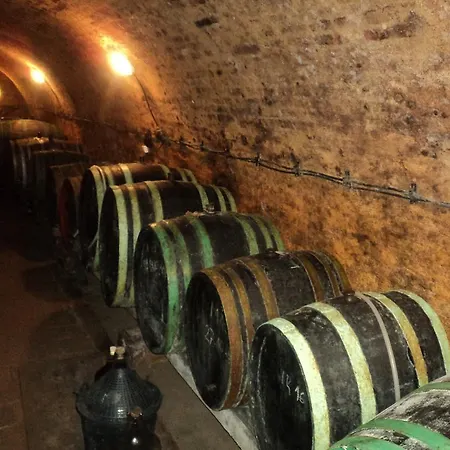 U Palenice ゲストハウス