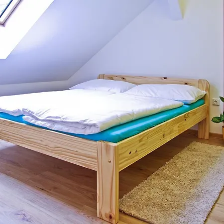 U Palenice ゲストハウス Hrabětice